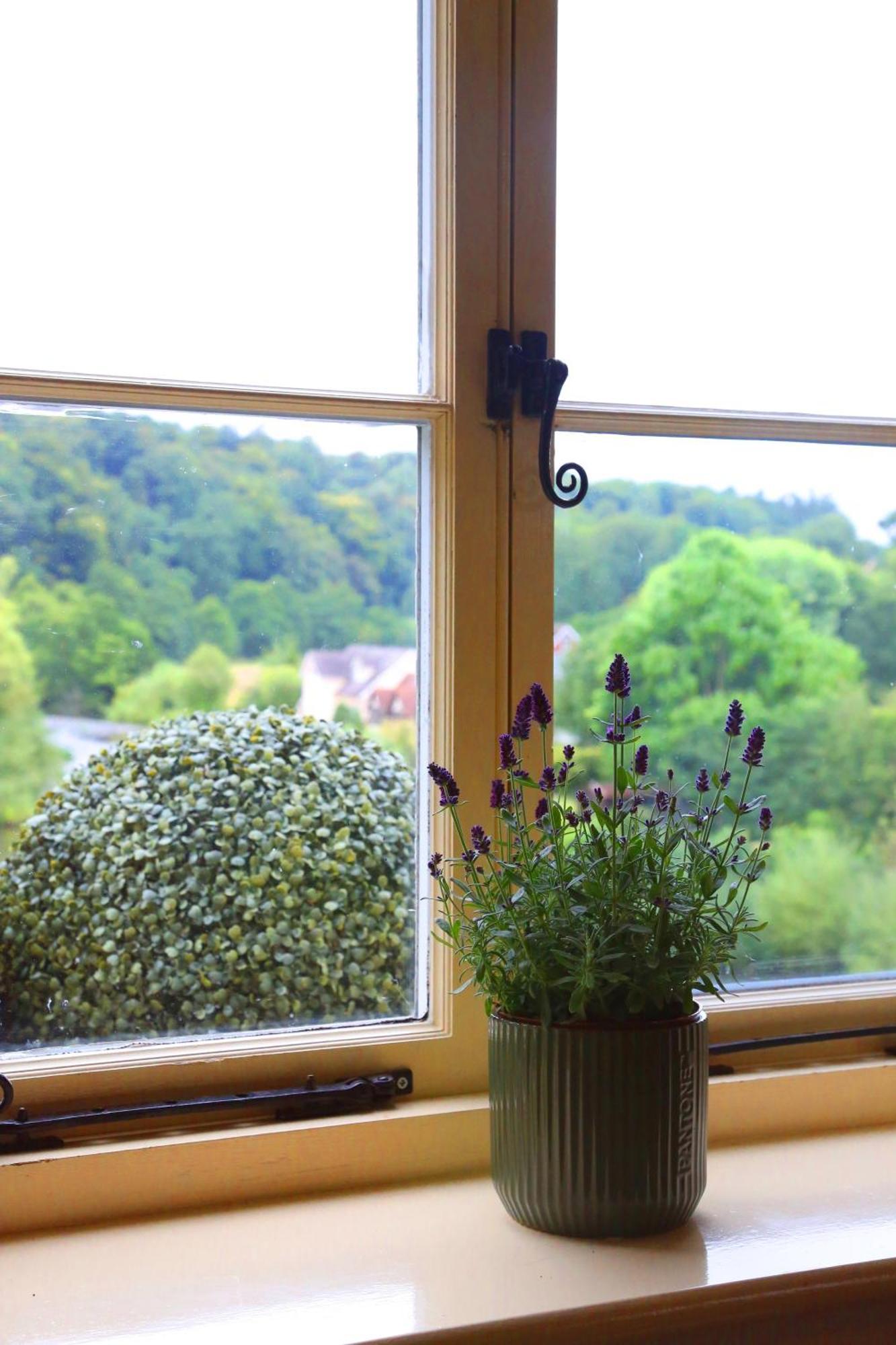 The Charlton Arms Bed & Breakfast Ludlow Ngoại thất bức ảnh